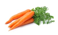 Carrots_AdobeStock_206866740