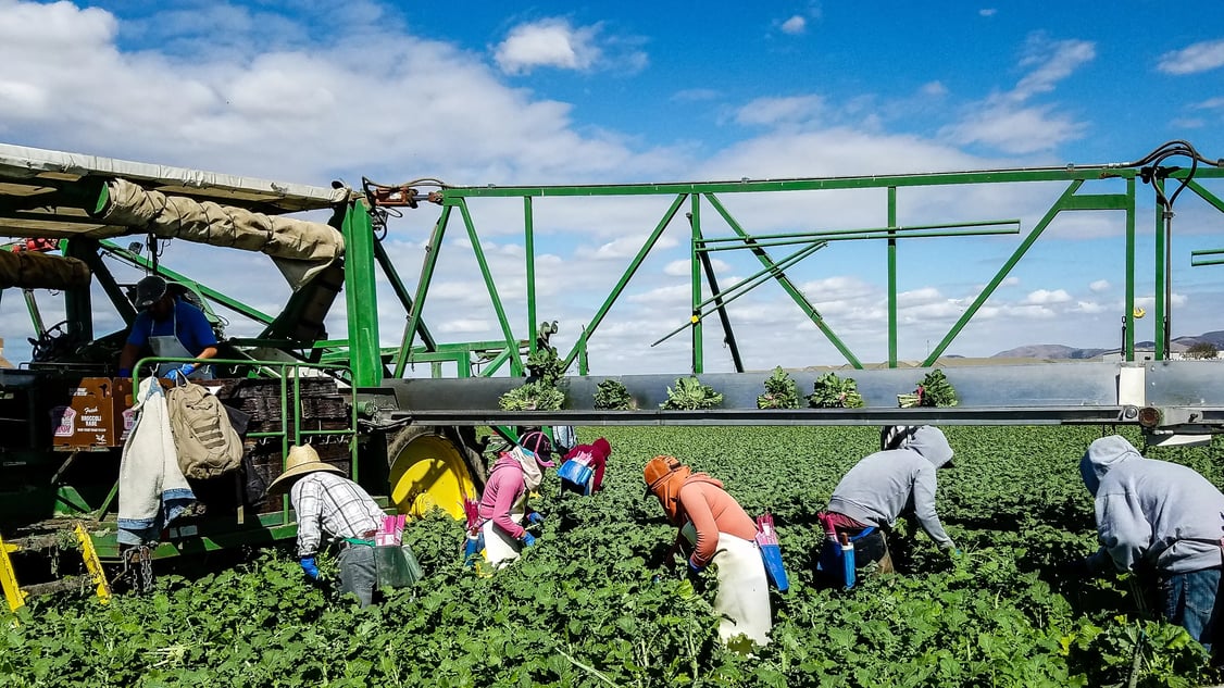 FH_OnFarm-3-1
