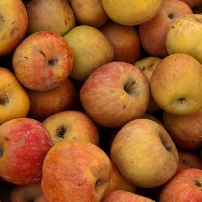 Fuji Apples