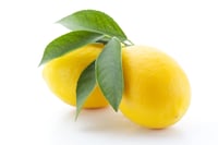 Lemons_AdobeStock_29468311