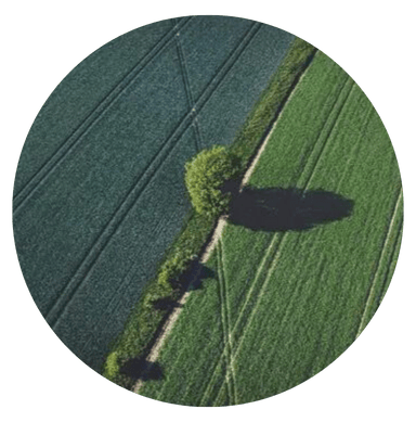 VR Image 2-1