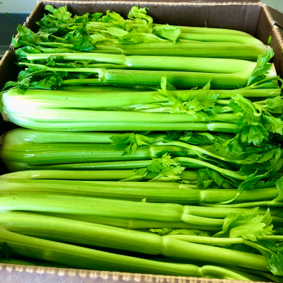 Celery