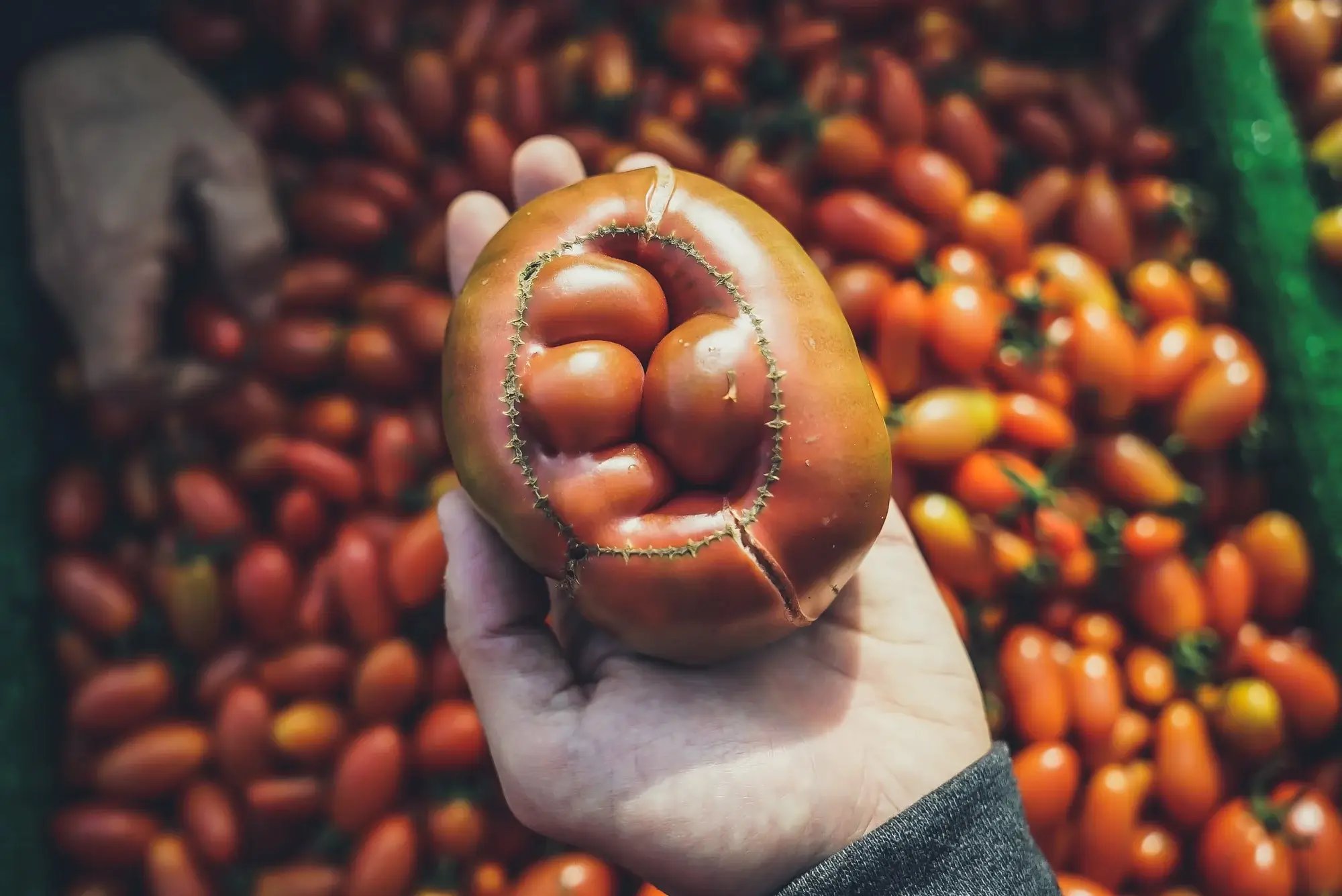 free-to-use-sounds-GKny6GKQ_QM-unsplash