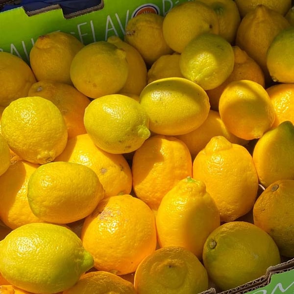 Produce Rescue Mission for Earth Week