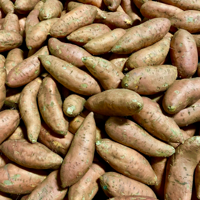 Sweet Potato