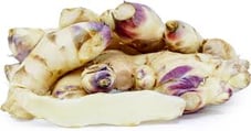Young Hawaiian Ginger Information and Facts