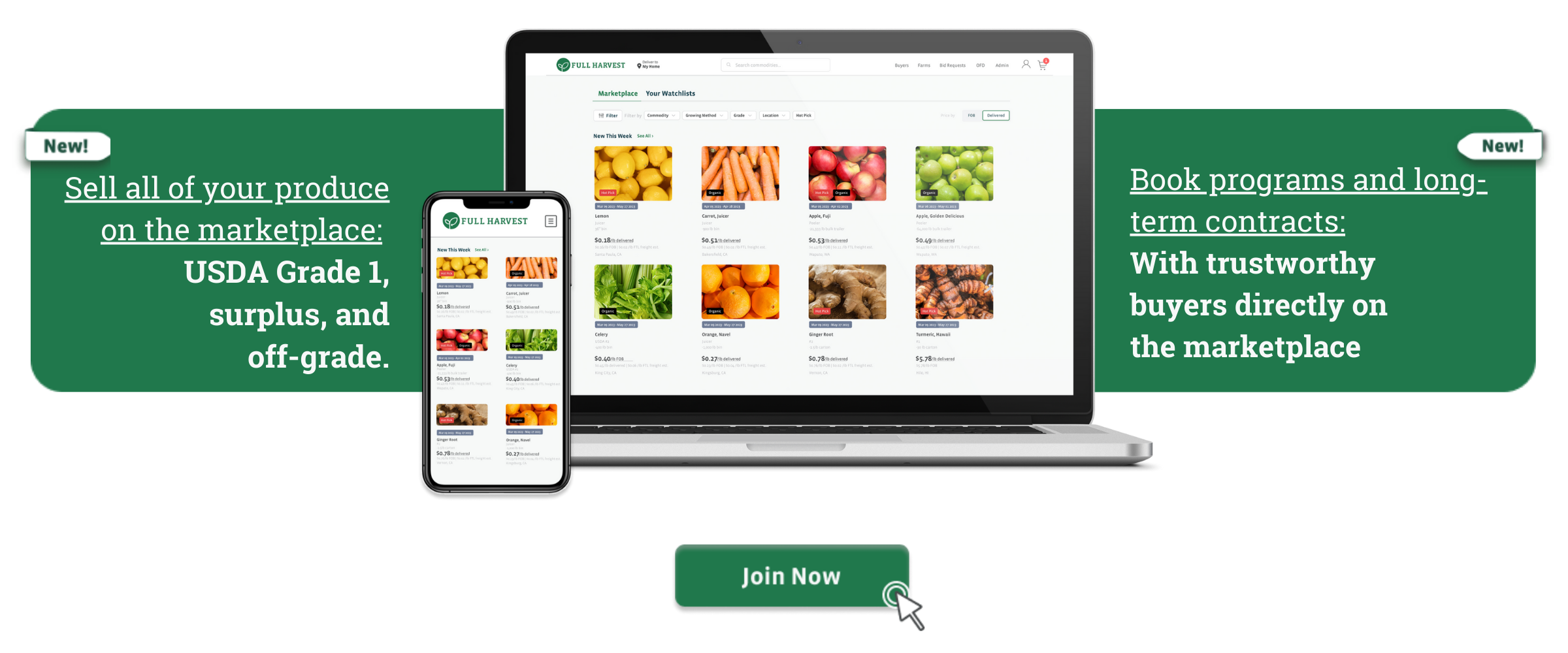 Supplier Page Image - Whats new on the Marketplace