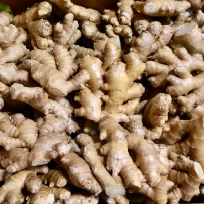 Ginger